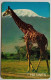 Tanzania 150 Units " Giraffe ( Control Number On Top Left ) " - Tanzania
