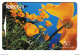 New Zealand California Poppies 2 Phonecards Used B210915 - Blumen