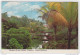 Garden Of The Groves, Feeport, Grand Bahama Old Postcard Travelled 1978 In Yugoslavia Bb160711 - Bahamas