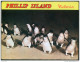 Phillip Island Vic Scenic Views Folder 150928 - Sonstige & Ohne Zuordnung