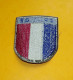 INSIGNE TISSU  : FRANCE ,INSIGNE DE NATIONALITE MODELE ANCIEN   ,BON ETAT VOIR PHOTO . POUR TOUT RENSEIGNEMENT ME CONTAC - Ecussons Tissu