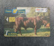 SPAIN Phone Card Pre Paid  12 Euros  Year 2000   ~~L@@K~~ - Commemorative Advertisment