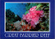 1-10-2023 (3 U 1) Australia - QLD - Great Barrier Reef (UNESCO) (posted With Kangaroo Stamp) - Great Barrier Reef