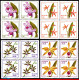 Ref. BR-1711-14Q BRAZIL 1980 - ORCHIDS,PHILATELICEXHIBITION,MI# 1785-88,BLOCKS MNH, FLOWERS, PLANTS 16V Sc# 1711-1714 - Blokken & Velletjes