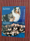 Dogs 2 Phonecards Mint 2 Photos Rare - Chiens