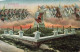 BELGIQUE - Waterloo - Monument Des Français - Colorisé - Carte Postale Ancienne - Waterloo