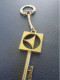 Porte-Clé  Ancien/Appareils Ménagers/"ELECTROLUX"/ LogoAvec Chaînette Serpent /Métal /Vers 1960-1980     POC714 - Key-rings