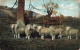 ANIMAUX & FAUNE - Mouton - Troupeau  De Moutons - Colorisé - Carte Postale Ancienne - Andere & Zonder Classificatie