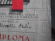 TRIESTE DIPLOMA FASCISTA LOTTA TUBERCOLOSI FRANCOBOLLI ANTITUBERCOLARI - Diplômes & Bulletins Scolaires