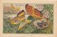  N 237-  1   CHROMO-   CACAO VAN HOUTEN  PAPILLON - CALLITHEE - Van Houten