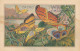  N 238-  1   CHROMO-   CACAO VAN HOUTEN  PAPILLON - CALLITHEE - Van Houten