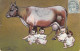 Humour - Bébés " Branchés " à Des Vaches - Vache Biberon - Carte Postale Ancienne - - Humour