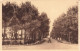 BELGIQUE - Knokke - Promenade Aux Sapinières - Carte Postale Ancienne - Knokke