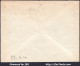 FRANCE N° 484+488+497 SUR LETTRE PAR AVION POUR ALGER ALGÉRIE DU 29/04/1941 - Covers & Documents