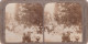 PORTUGAL PHOTO  - PHOTOGRAPHY - STEREOSCOPE - ESTEREOSCOPIAS - PORTO - JUSTINO DE CARVALHO - Visionneuses Stéréoscopiques