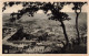 LUXEMBOURG - Echternach - Panorama - Petite Suisse Luxembourgeoise - Carte Postale Ancienne - Echternach