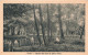 FRANCE - Vittel - Chalet Des ânes Et Pièce D'eau - Carte Postale Ancienne - Vittel