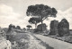 ITALIE - Roma - Via Appia Antica - Carte Postale Ancienne - Parcs & Jardins