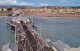 AK 168782 ENGLAND - Brighton - Palace Pier & Sea Front - Brighton