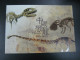 Hong Kong 2014 & 2022 Dinosaur Stamps I & II Presentation Pack - Collezioni & Lotti