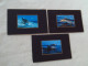 LOT DE 3 CARTES "DAUPHINS" ...A FLEUR D'EAU...LONG-NEZ ET EN SAUTANT LA VAGUE - Dolphins