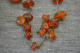 Vintage Amber Beads 44 Gr - Collares/Cadenas