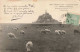 FRANCE - Côte D'Emeraude - Mont Saint Michel - Moutons Au Pâturage - GF - Carte Postale Ancienne - Le Mont Saint Michel