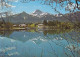 AK 169102 AUSTRIA - Faaker See Mit Blick Gegen Den Mittagskogel - Faakersee-Orte