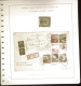 Delcampe - Cover 1904/39, 15 Frankierte Schiffpostbriefe Bzw. -karten Mit Der Seepost Von Deutschland Nach USA Bzw. Argentinien, Vo - Other & Unclassified