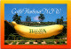 6-10-2023 (3 U 30) Australia - NSW - Coffs Harbour Big Banana (posted 1995 With Kangaroo Stamp) - Coffs Harbour