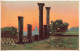 ARTS - Peintures Et Tableaux - Des Monuments Au Couché Du Soleil - Carte Postale Ancienne - Paintings