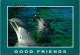 6-10-2023 (3 U 31) Australia - NSW - Coffs Harbour (Dolphin) Posted 1995 With Koala Stamp - Dauphins