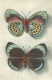 Papillon - Callithéa Leprieuri - Comité National De L' Enfance     Z 602 - Papillons