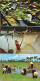 Lot De 10 Cartes Postales: THAÏLANDE: Floating Market, Rice, Farmer's Fish-fhishing, Chidren, Bangkok, Etc. - Thaïlande