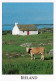 1 AK Irland / Ireland * Typical Irish Cottage - West Of Ireland * - Autres & Non Classés