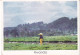 RWANDA-RED ROCKS-USED POSTCARD --RWANDA POSTMARK- - Rwanda