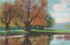 ILLUSTRATION NON SIGNE -  Une Route De Campagne - Etang - Automne - Carte Postale Ancienne - Vor 1900