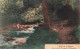BELGIQUE - Waimes - Vallée De La Hoëgne - Repos De La Princesse Clémentine - Colorisé - Carte Postale Ancienne - Waimes - Weismes