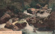 BELGIQUE - Waimes - Vallée De La Hoëgne - La Belle Vue - Colorisé - Carte Postale Ancienne - Weismes