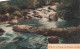 BELGIQUE - Waimes - Vallée De La Hoëgne - Les Palmiers Pétrifiés - Colorisé - Carte Postale Ancienne - Waimes - Weismes