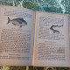 Delcampe - Le Véritable Guide Du Pêcheur Par L'Oncle Pierre De 1948  Ouvrage Illustré De 323 Gravures - Michelin-Führer