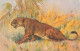 ANIMAUX & FAUNE - Lionne - Colorisé - Carte Postale Ancienne - Otros & Sin Clasificación