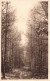 Fleurs, Plantes Et Arbres - Arbres - Forêt - Sentier - Carte Postale Ancienne - Bäume