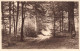 Fleurs, Plantes Et Arbres - Arbres - Forêt - Sentier - Carte Postale Ancienne - Trees