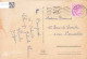 ANIMAUX & FAUNE - Chat - Colorisé - Carte Postale Ancienne - Chats