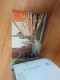 NY City New York A Souvenir Bonus Album 11 Postcards + 11 Miniature Skyscraper Twin Towers - Collections & Lots