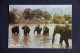 CEYLAN - SRI LANKA : ELEPHANTS BATH - Sri Lanka (Ceylon)