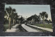 A1427   Palm Driveway   Pensacola   1912 - Pensacola