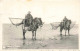 METIERS - Pêcheurs De Crevettes - Chevaux - Plage - La Panne - Carte Postale Ancienne - Pêche