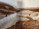 Delcampe - Die Rhön. Anmut Und Landschaft. Fotografien 1993-1999 - Fotografía